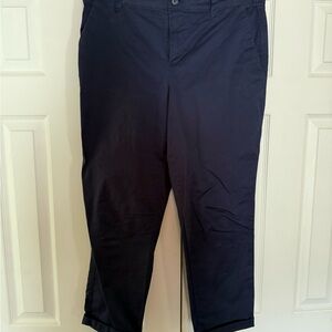 GAP Men's Dark Blue Chinos
